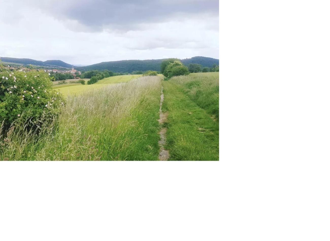 Natur Pur Frielendorf Eksteriør billede